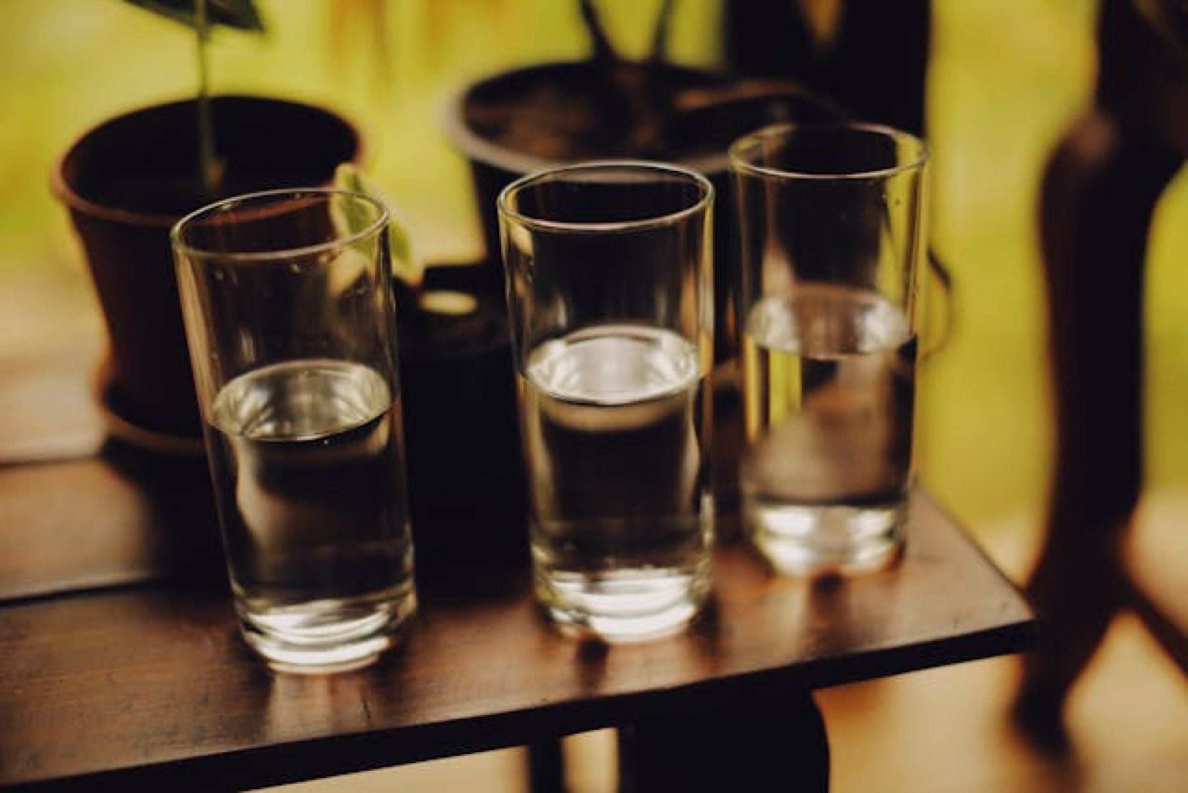 Grey Goose SHOT