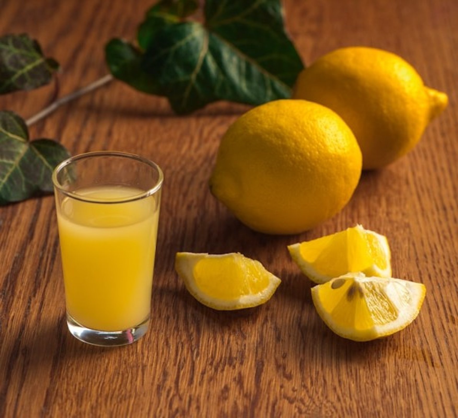 LIMONCINO BOTTEGA SHOT